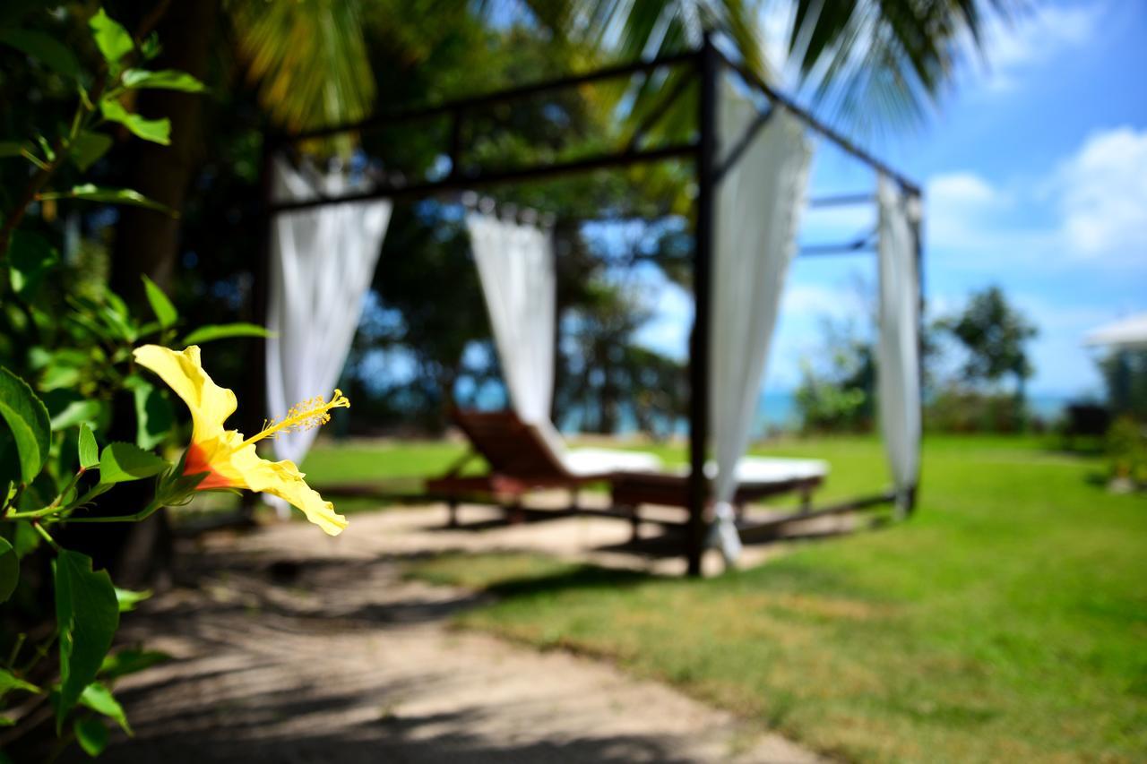 Pousada Enseada Dos Golfinhos Praia de Pipa Exteriör bild